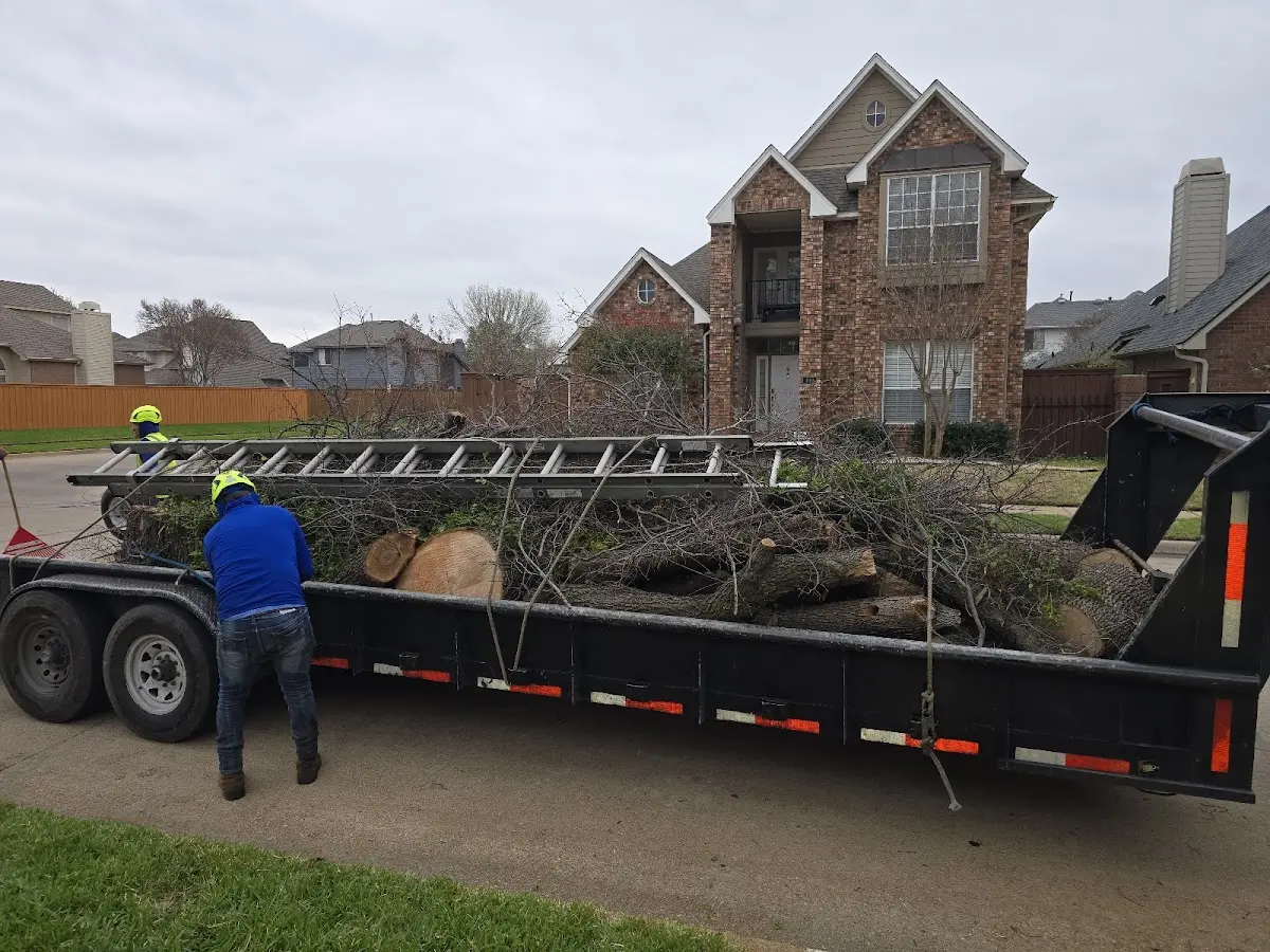 Expert Tree Fertilization with proper safety equipment in Mcclusky